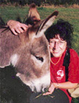 Dar with donkey