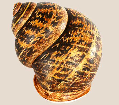 mixed media sculpture of snail shell