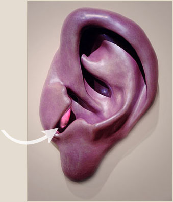 the ear sculpture